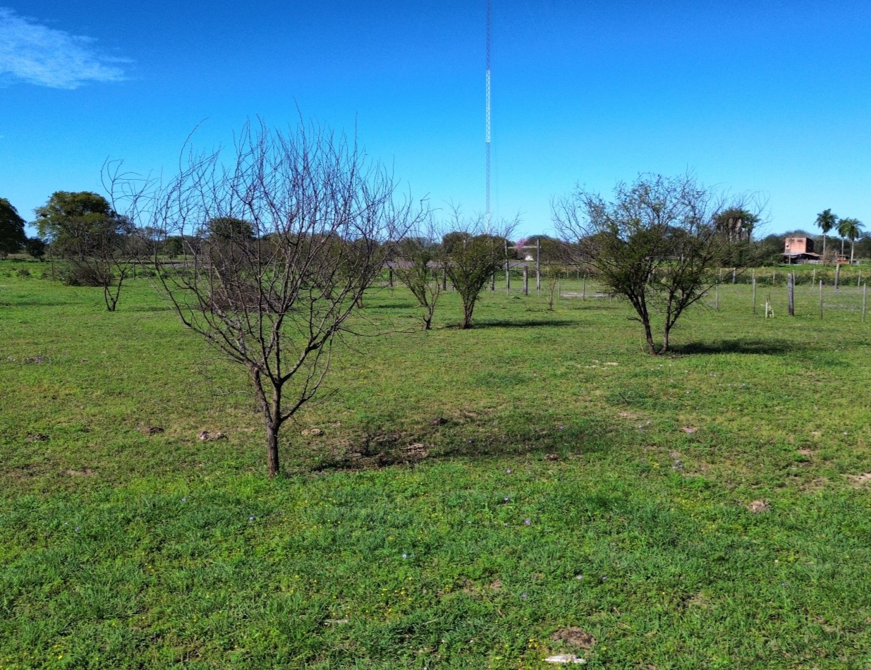 Terreno amplio en Colonia Benitez - Espacio, naturaleza y tranquilidad familiar